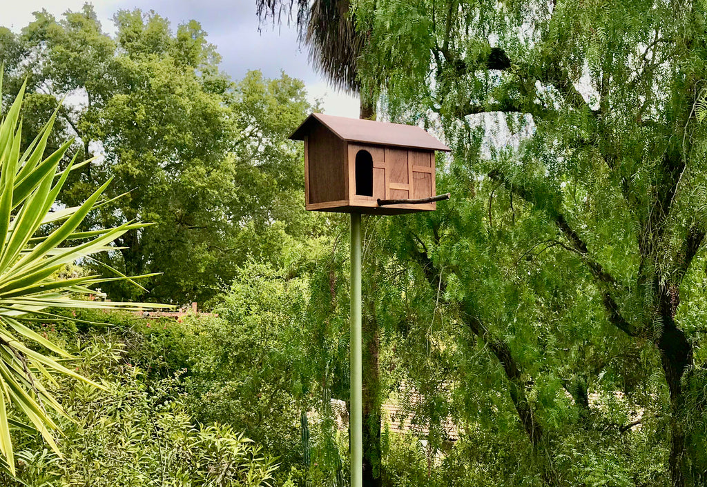 The Raptor Roost Barn Owl Box