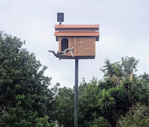 The Manor Barn Owl Box